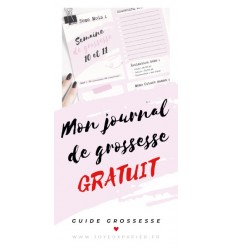 Journal de grossesse à imprimer gratuit carnet suivi souvenir