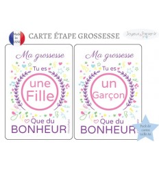 Pack de Carte étape grossesse