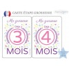 carte étape mois grossesse