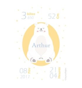 poster naissance garçon ours polaire