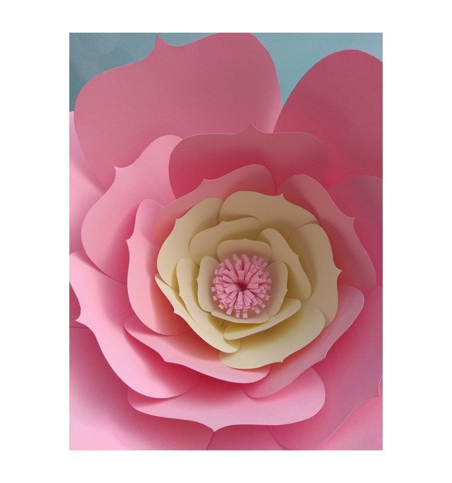 Fleur géante en papier modèle Apolline